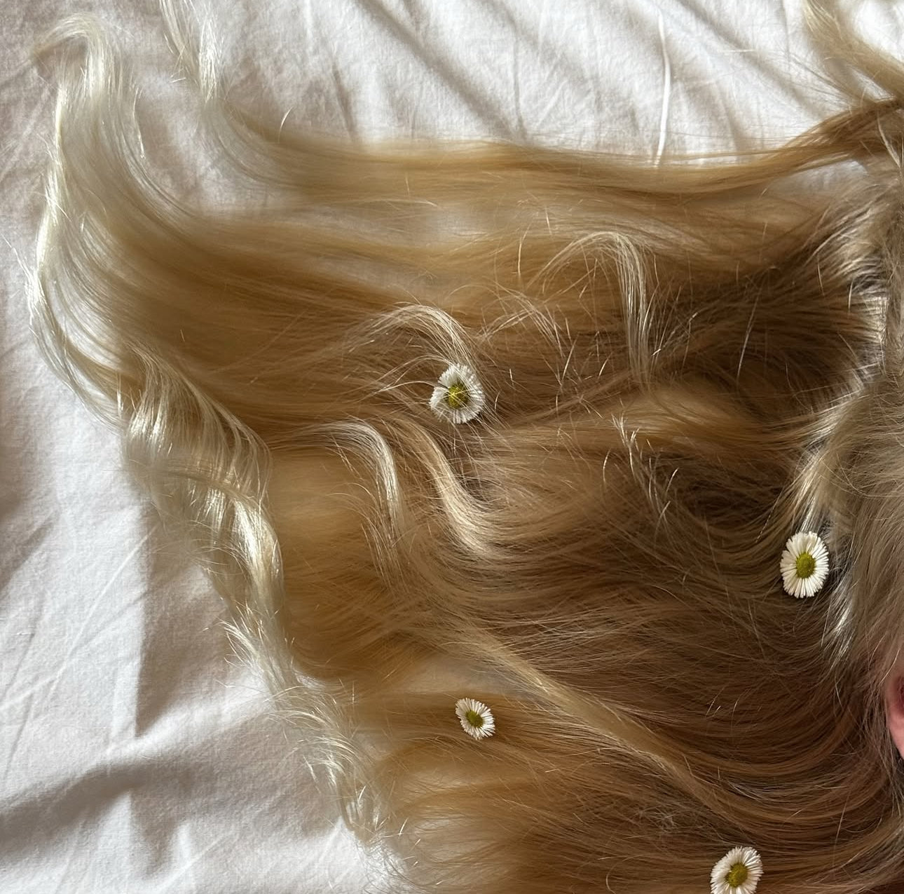Lumière Hair Oil
